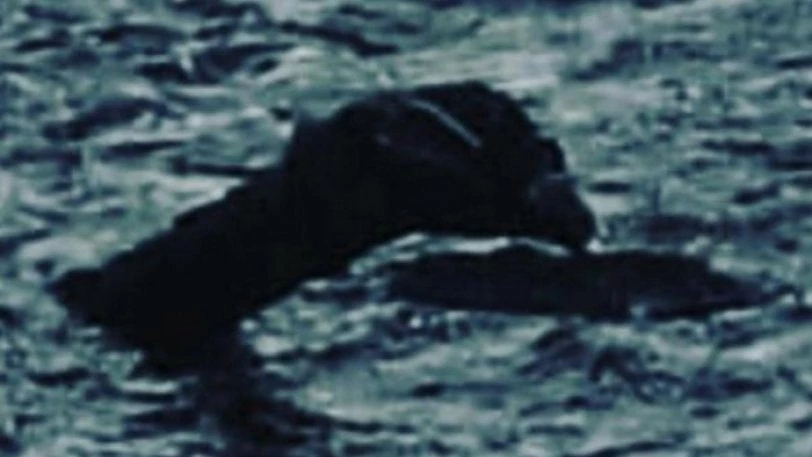 Ξεναγός ισχυρίζεται ότι φωτογράφησε το τέρας του Λοχ Νες (εικόνες)